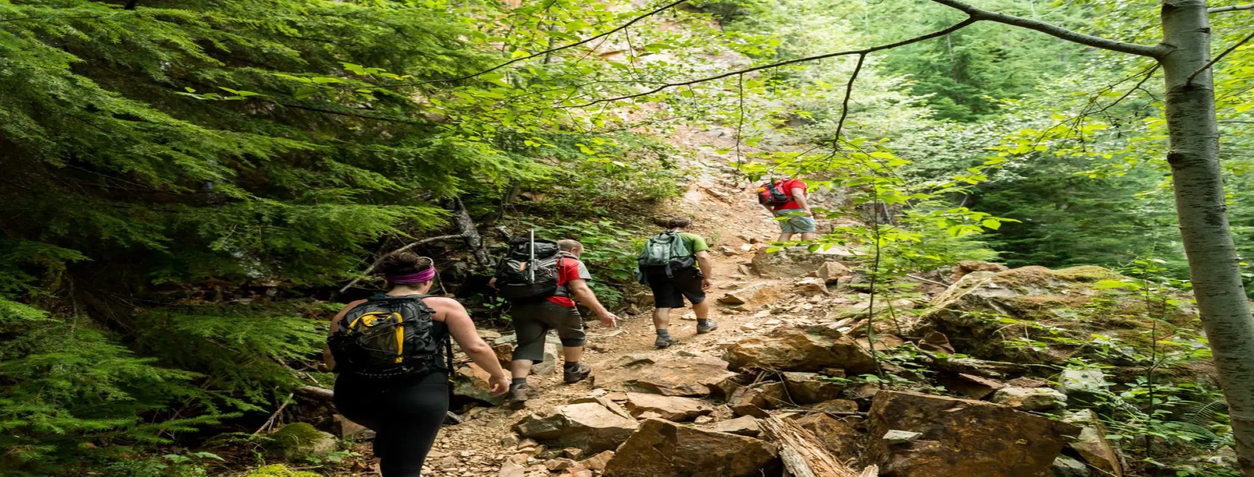 Image for Hike Trails